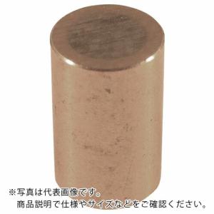カネテック 永磁ホルダ アルニコ磁石 外径10mm 円形 ( KM-001 ) カネテック(株)｜haikanshop