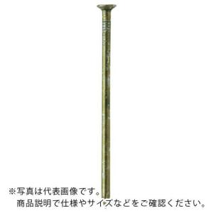 WAKAI (W)カラーN釘 4kg箱 N75 ...の商品画像