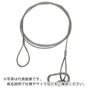 共成 落下防止ステンレスワイヤー3mm(2本セット) ( 3-2000 ) (株)共成｜haikanshop