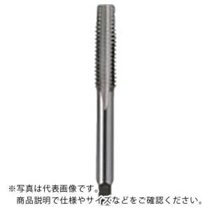 ISF ハンド先タップ 5/16W18  ( IS-S-HT-5/16W18-1 )｜haikanshop