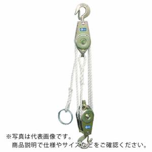 【SALE価格】HHH ロープホイスト 250k...の商品画像