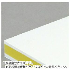 サンヨー カラー抗菌業務用まな板  ( CKY-20S )｜haikanshop