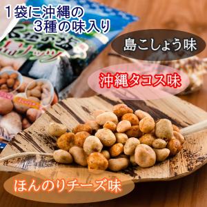 石垣の塩 島ナッツ 16g入り 10袋セット ...の詳細画像1