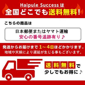 ヘルメットマウント スクリューネジ付き アクシ...の詳細画像4