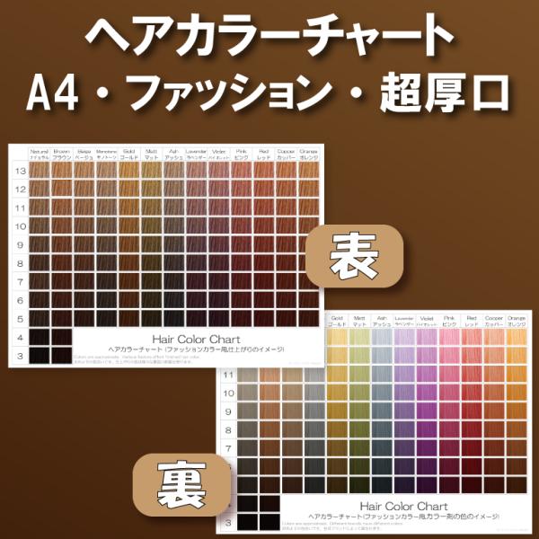 ヘアカラーチャート(ファッションカラー,おしゃれ染め) A4超厚口両面 表:仕上がりのイメージ 裏:...
