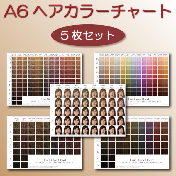 ヘアカラーチャート5枚セット A6  髪色 おしゃれ染め 白髪染め ファッションカラー グレイカラー...