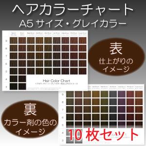 ヘアカラーチャート(グレイカラー,白髪染め) A5サイズ両面 10枚セット 表:仕上がりのイメージ 裏:カラー剤の色のイメージ