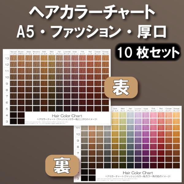 ヘアカラーチャート(ファッションカラー,おしゃれ染め) A5厚口両面 10枚セット 表:仕上がりのイ...