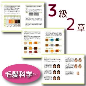 ヘアカラーマスター検定3級公式テキスト ヘアカ...の詳細画像2