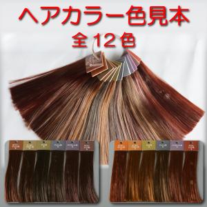 ヘアカラー教材オンラインショップ ヘアカラー提案用教材 Yahoo ショッピング