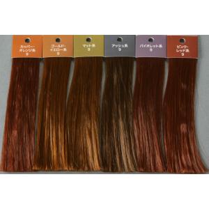 ヘアカラー色見本ばら売り|6レベル|9レベル|...の詳細画像3