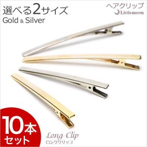 CELINE セリーヌ ヘアクリップ 46Z156CTS レディース ヘアピン