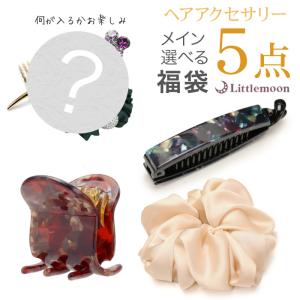 メイン お楽しみ ラッキーバッグ セット お得 革命クリップ シュシュ バナナクリップ メイン選べる福袋 追跡可能メール便