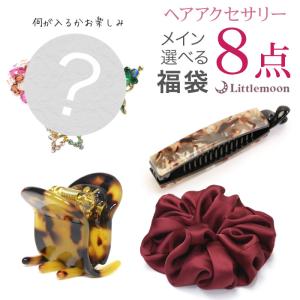 メイン お楽しみ ラッキーバッグ セット お得 革命クリップ シュシュ バナナクリップ メイン選べる福袋 追跡可能メール便