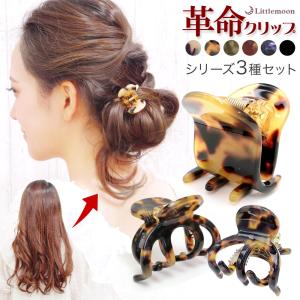 CHANEL（シャネル） 【ノベルティ】 ヘアクリップ6本セット [101033