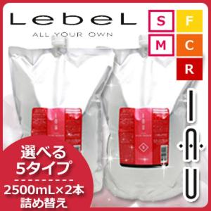 ポンプ付】アシュラン ヘア シャンプー ＆ トリートメント セット
