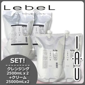 2026年6月】イオセラム 2500（LebeL）（セット/単品：セット）の