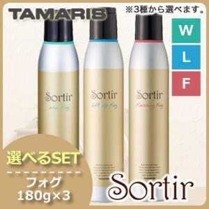 EXPERT（エキスパート） ○ 2本セット リアムール マックス ボディ