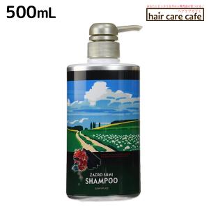 アルテマ インフォーム5.5 1000mL : ヘアケアcafe～ルベル・フィヨーレ