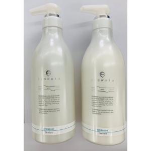 FLOWDIA デミ フローディア スリークモイスト シャンプー 550mL＆