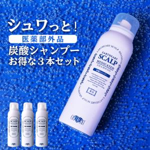 サロン専売 シャンプー スカルプ メンズヘアケア の商品一覧 コスメ 美容 ヘアケア 通販 Yahoo ショッピング