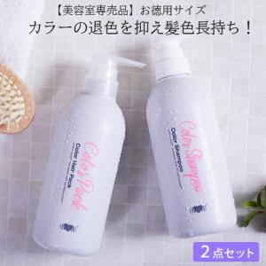カラーシャンプー ＆ カラーヘアパック セット サロン専売  (各450ml) 白髪染め アースハート ヘアカラー 色落ち防止 退色防止 髪色長持ち