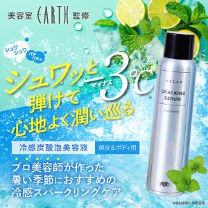 2024年9月21日発売!!メナード MENARD メイクチュールパレット : SYOUKA