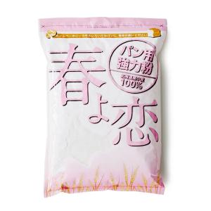 春よ恋 100％ 北海道産 強力粉 【1kg】【常温/全温度可】 小麦粉 はるよこい ホームベーカリー 食パン レシピ パン 材料 国産 小麦 ピザ