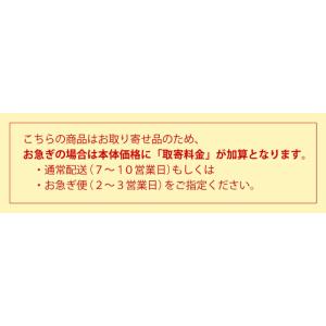 温湿度計 高精度 エンペックス 気圧計 アナロ...の詳細画像1