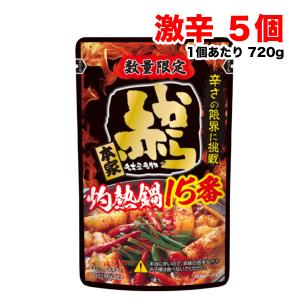 イチビキ 激辛 赤から鍋スープ 15番 ストレートタイプ レトルト 720g×5袋（名古屋赤味噌） 鍋の素 鍋つゆ 送料無料（北海道・東北・沖縄除く）