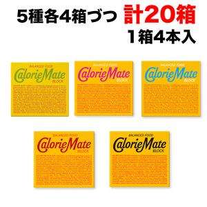 大塚製薬 カロリーメイト ブロック 4本入×20箱（5種×各4個） アソート セット バニラ チョコレート チーズ メープル フルーツ 送料無料（一部地域除く）