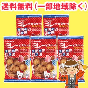 非常携帯用サクマ式缶ドロップ170g 40缶セット 非常携帯用サクマ式缶