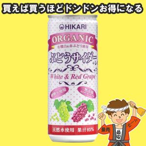 レモン本来の爽快感！レモンサイダー(有機レモン使用)250ml×30本 レモン本来の爽快感！レモンサイダー(有機レモン使用)250ml×30本