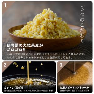 ミツイシ 日向夏 ドレッシング 1000ml×...の詳細画像2