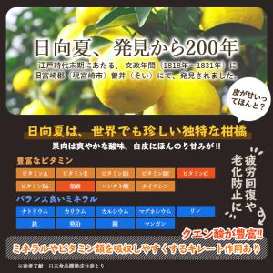 ミツイシ 日向夏 ドレッシング 1000ml×...の詳細画像4