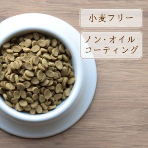 アニマルワン 犬の雑穀ごはん ペット自然食 ド...の詳細画像2