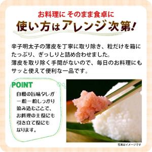 博多ふくいち 辛子明太子 ご家庭用 つぶっこ ...の詳細画像4