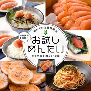 明太子 お試し明太 切れ子 250g×2箱  初回ネット限定 1回限り 3セット迄 送料無料）冷蔵便限定 合計 500g 辛子 めんたいこ 訳あり 中切れ 家庭用 博多ふくいち