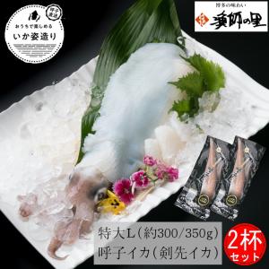 特大 L 呼子イカ (剣先イカ) 刺身用 2杯セット 約 600g