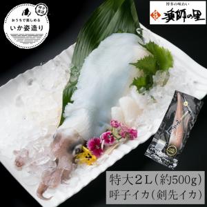 いか イカ やりいか 剣先いか 烏賊 特大 2L 呼子イカ (剣先イカ) 刺身用 1杯セット 約 500g お取り寄せ 贈り物 ギフト 御中元 御歳暮 父の日 母の日