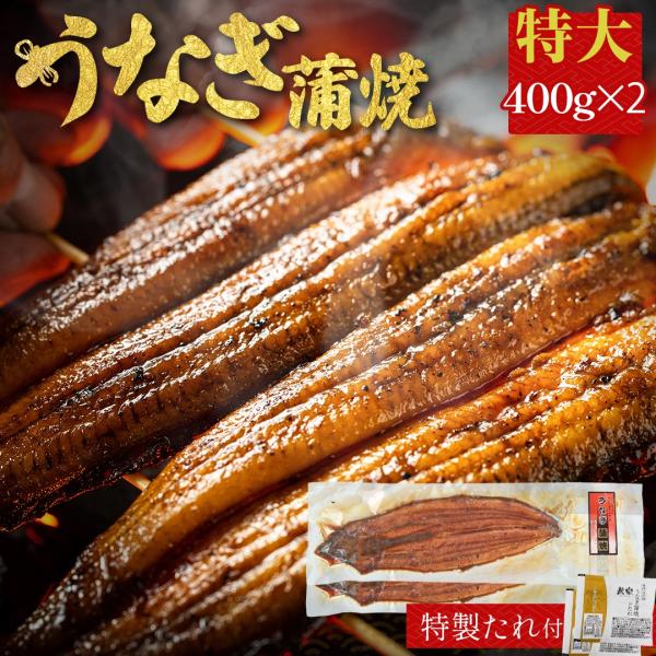 鰻蒲焼き 2尾 400g ×2 有頭 土用の丑の日 中国産 うなぎ 鰻 特大 海産物 お取り寄せグル...