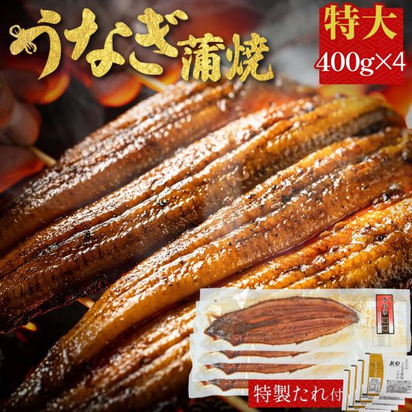 鰻蒲焼き 4尾 400g ×4 有頭 土用の丑の日 中国産 うなぎ 鰻 特大 海産物 お取り寄せグル...