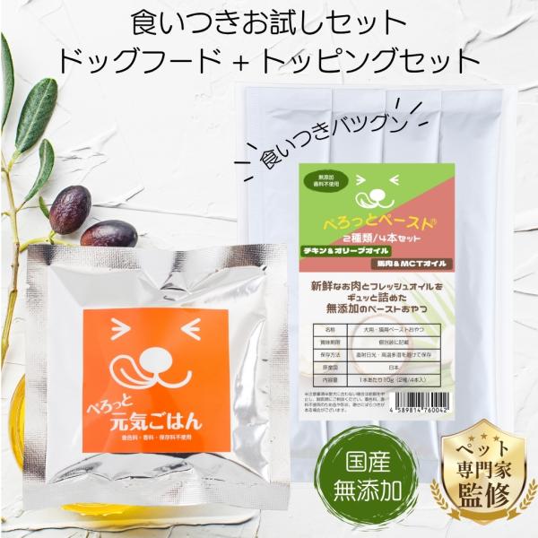 お試しセット 送料無料 ぺろっと元気ごはん 50g  ペースト 4本 おやつ 送料無料 無添加 国産...