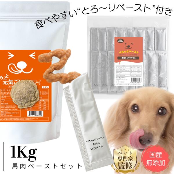無添加 ドッグフード ペースト16本セット ぺろっと元気ごはん1kg ＋ 馬肉 ＆ MCTオイル 1...