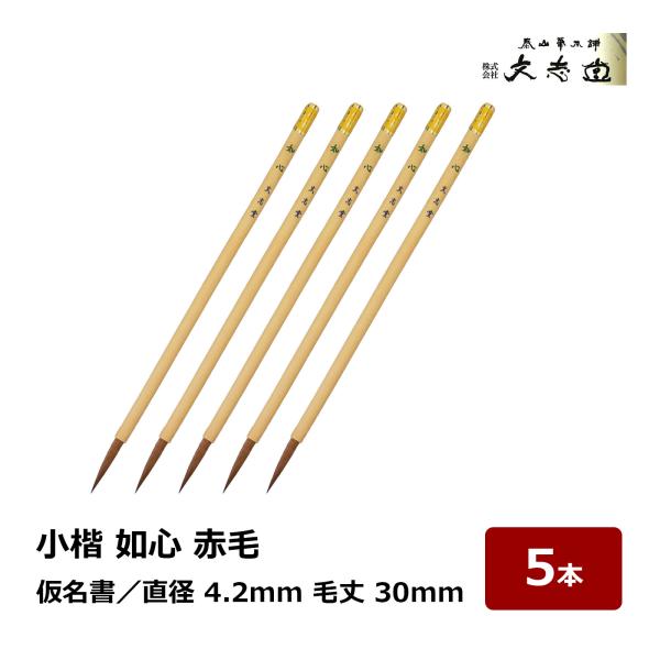 文志堂 小楷 如心 赤毛 太さ 4.2mm 毛丈 30mm 5本セット｜小筆 細筆 細書 仮名書 兼...