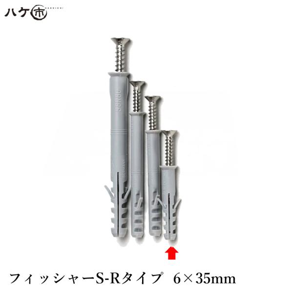 フィッシャージャパン フィッシャーS-Rタイプ 6×35mm(ネジM4x40)　100本入