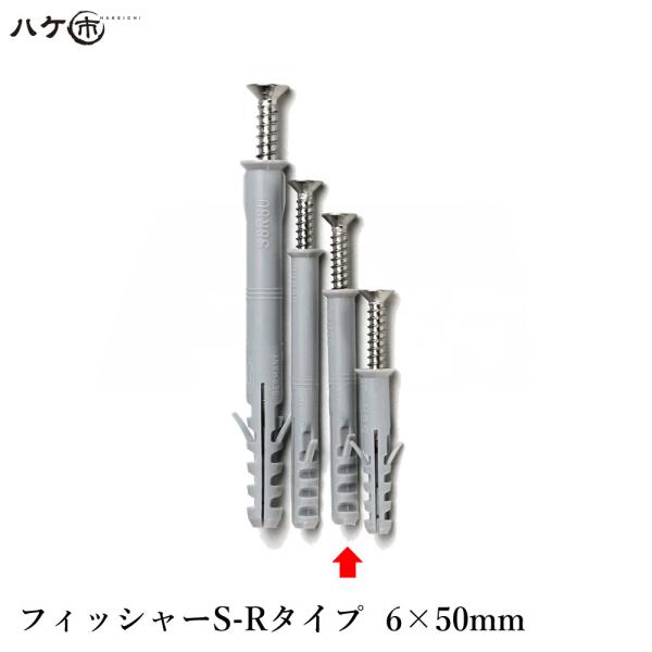 フィッシャージャパン フィッシャーS-Rタイプ 6×50mm(ネジM4x50)　100本入