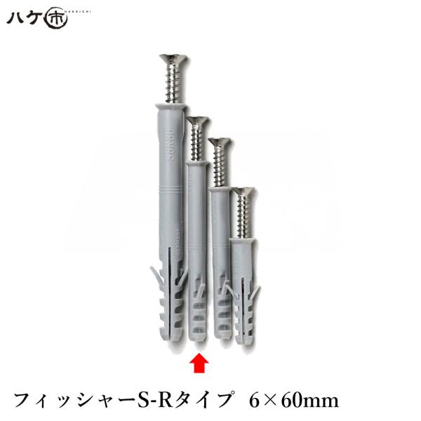 フィッシャージャパン フィッシャーS-Rタイプ 6×60mm(ネジM4x60)　100本入