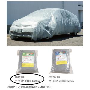 自動車 養生カバー（ポリシートタイプ） 軽バン用（透明) 1枚 : はけ屋