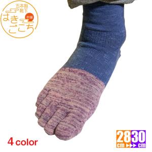 5本指ソックス 大きいサイズ メンズ バイカラー...の商品画像